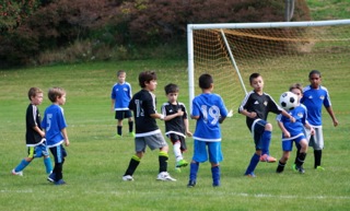 IMG_7909 IMG_7909