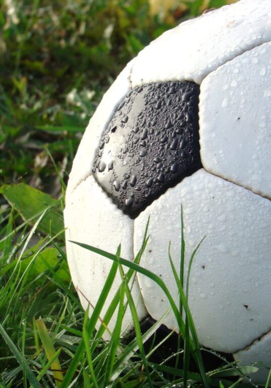 grass-sport-game-green-soccer-football-927727-pxhere.com